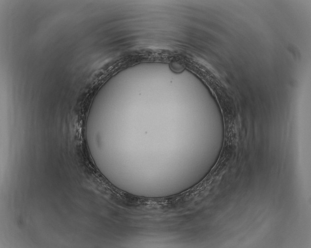 X0000112081013200908181237