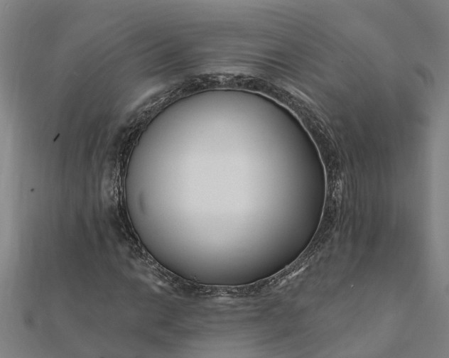 X0000112081014200908181237