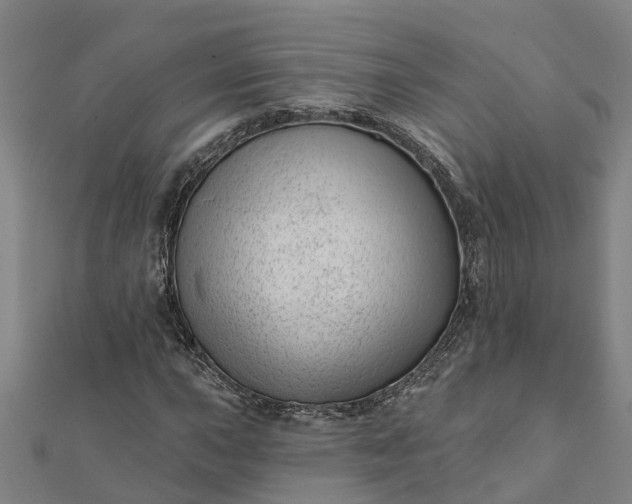 X0000112081015200908181237