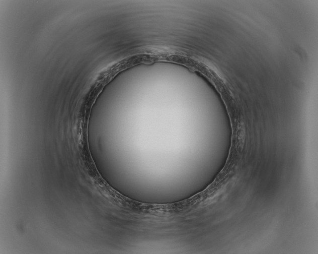 X0000112081016200908181237