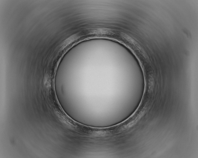 X0000112081017200908181237