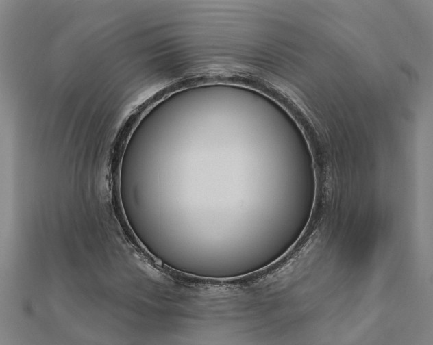 X0000112081018200908181237