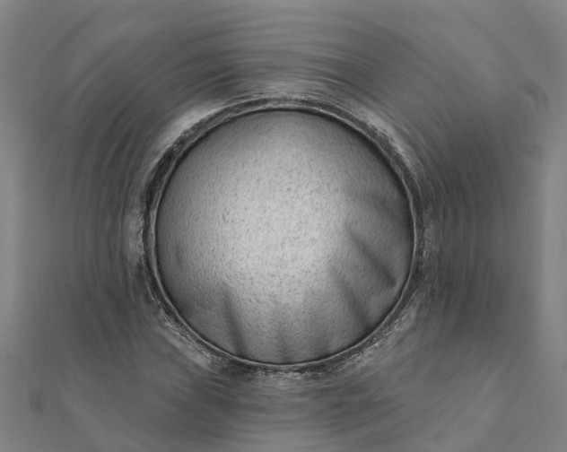 X0000112081019200908181237