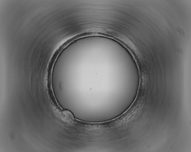 X0000112081020200908181237