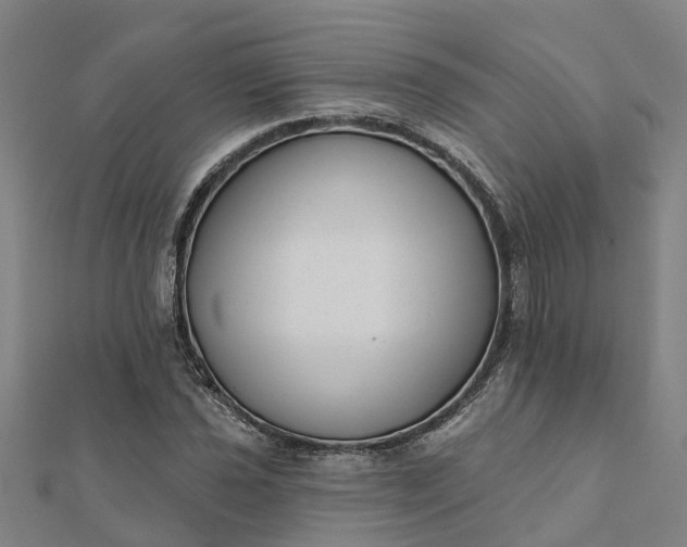 X0000112081021200908181237