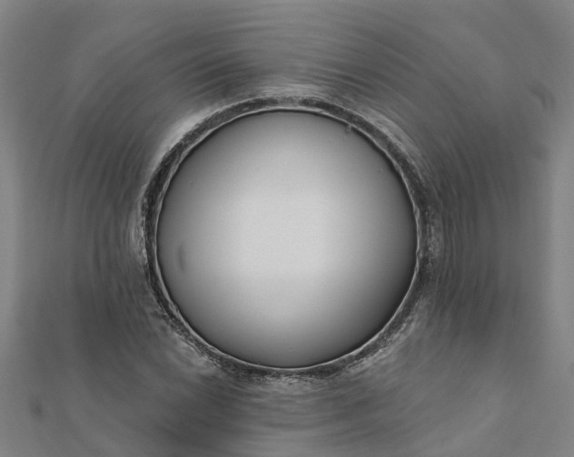 X0000112081022200908181237