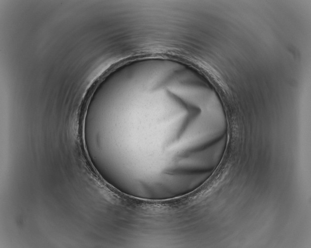 X0000112081023200908181237