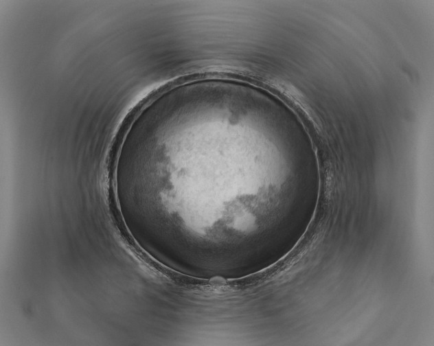 X0000112081024200908181237