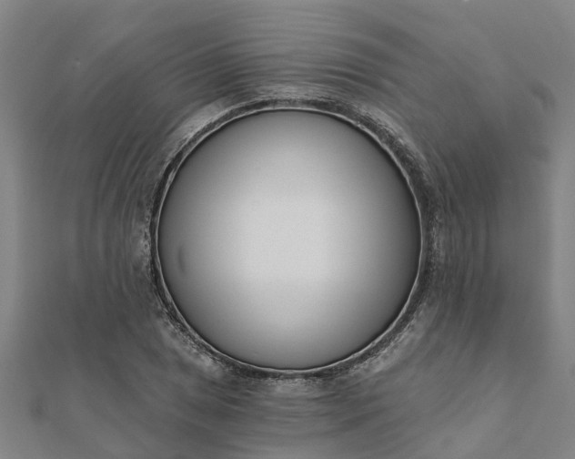 X0000112081025200908181237