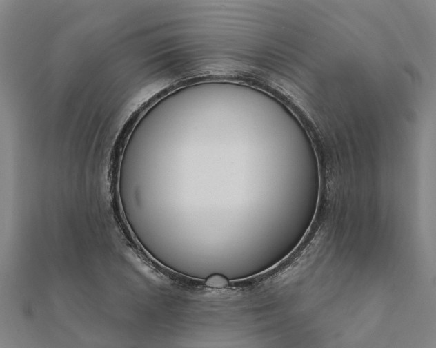 X0000112081026200908181237