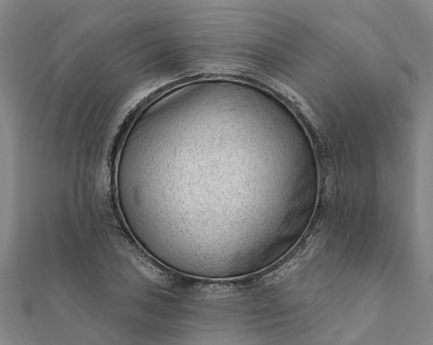 X0000112081027200908181237