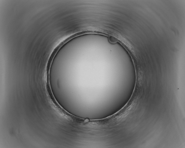 X0000112081028200908181237