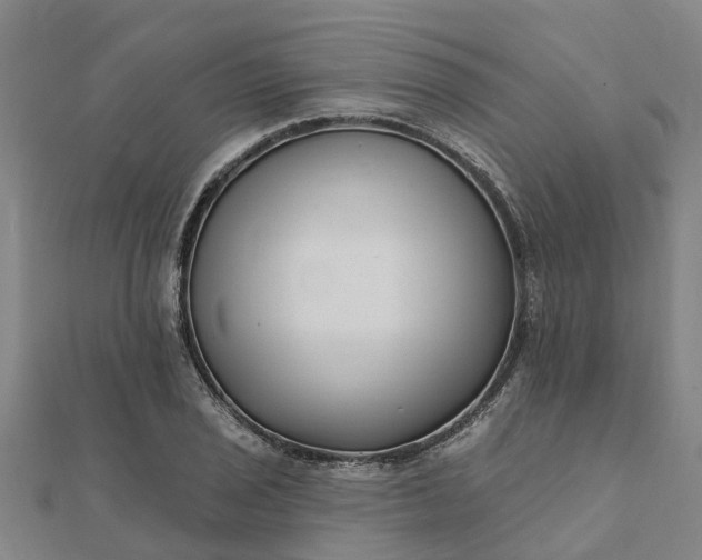 X0000112081029200908181237