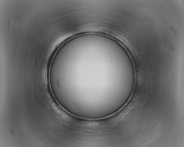 X0000112081030200908181237