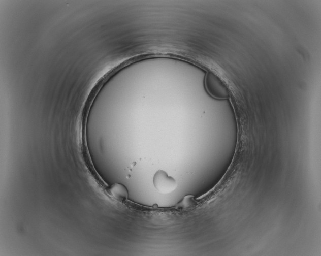 X0000112081032200908181237