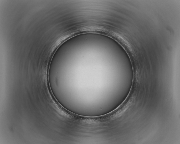 X0000112081033200908181237