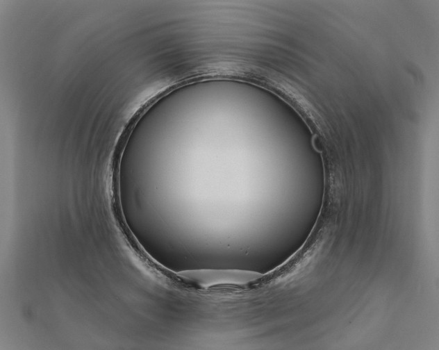 X0000112081034200908181237