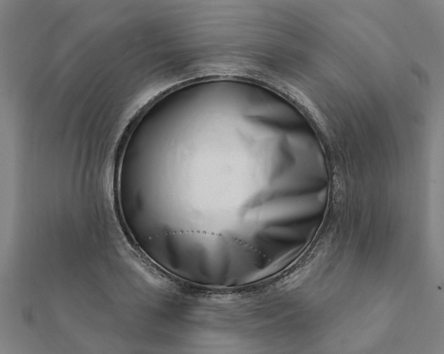 X0000112081035200908181237