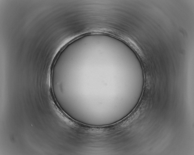 X0000112081036200908181237