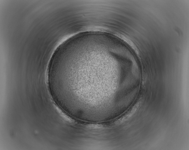 X0000112081037200908181237