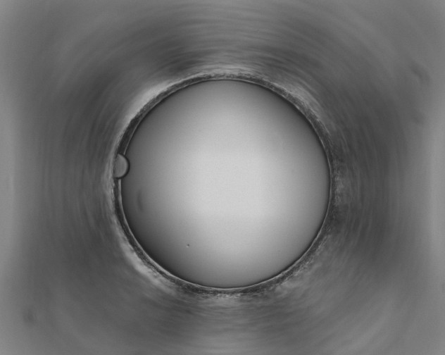 X0000112081038200908181237