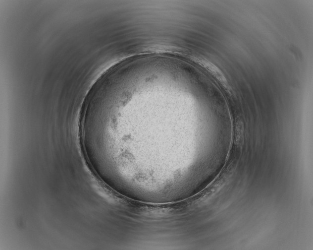 X0000112081039200908181237