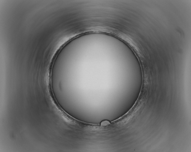 X0000112081040200908181237