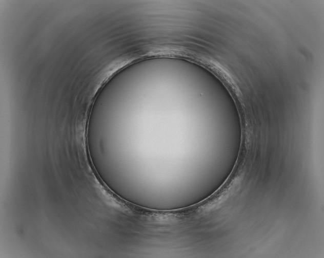 X0000112081041200908181237