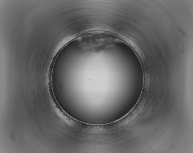 X0000112081042200908181237