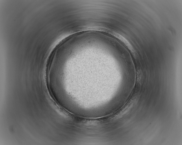 X0000112081043200908181237