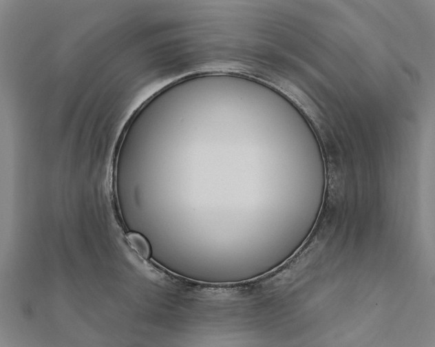 X0000112081044200908181237