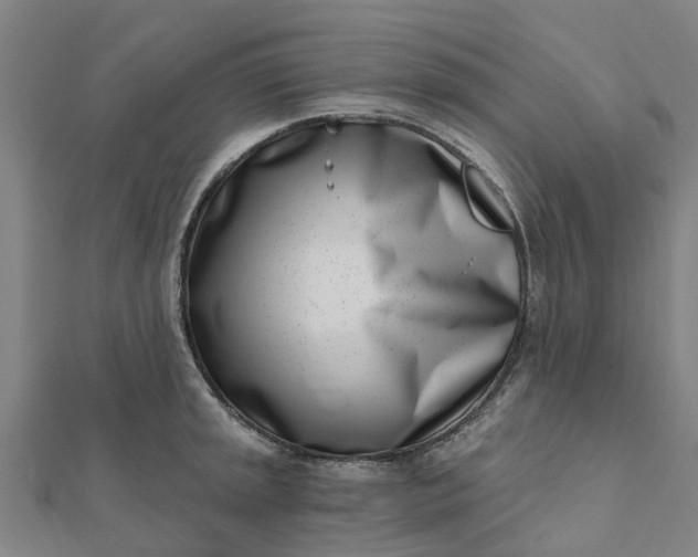 X0000112081045200908181237