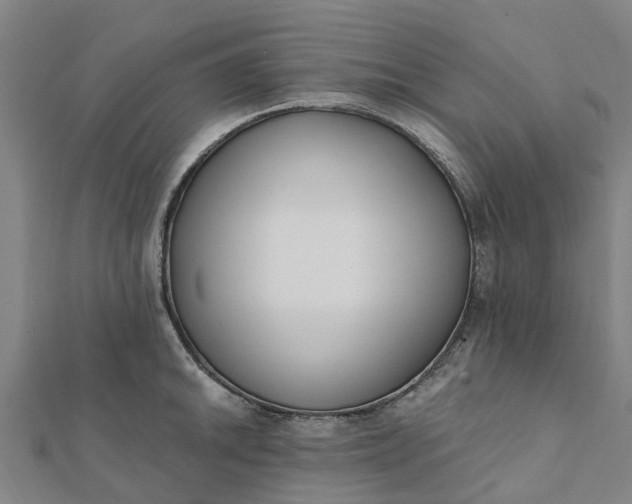 X0000112081046200908181237