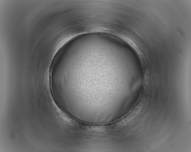 X0000112081047200908181237