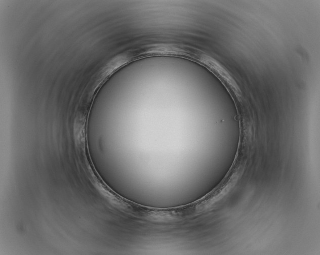 X0000112081049200908181237