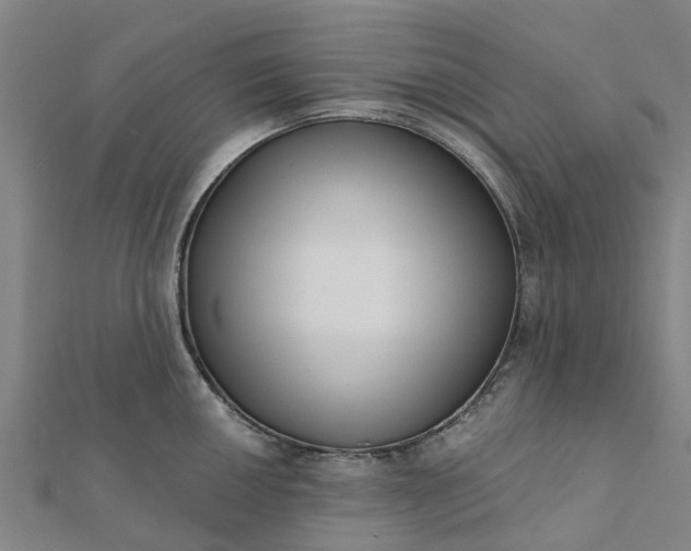 X0000112081050200908181237