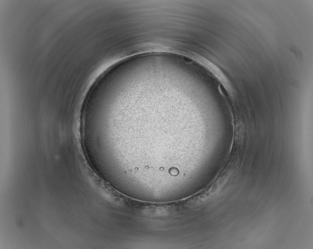 X0000112081051200908181237