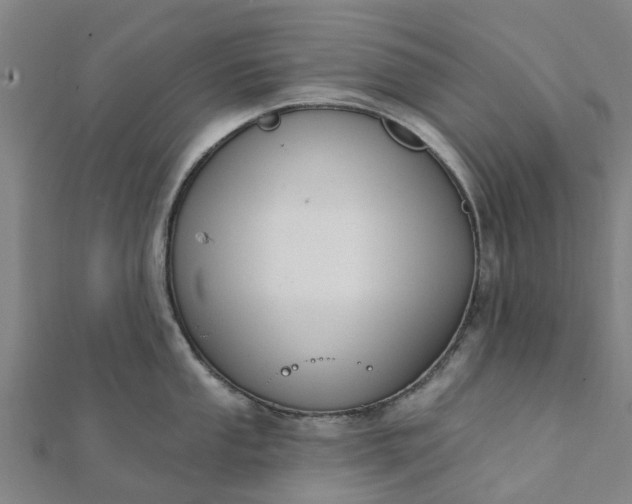 X0000112081053200908181238