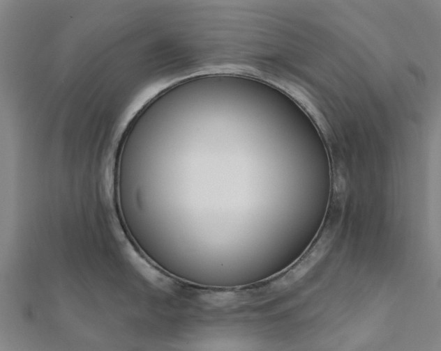 X0000112081054200908181238