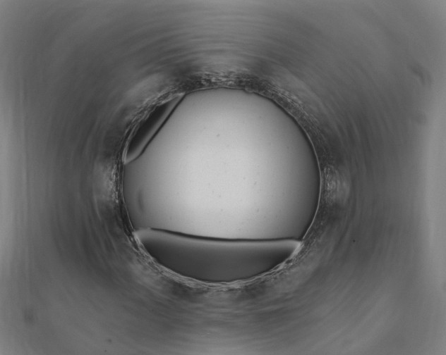 X0000112081060200908181237