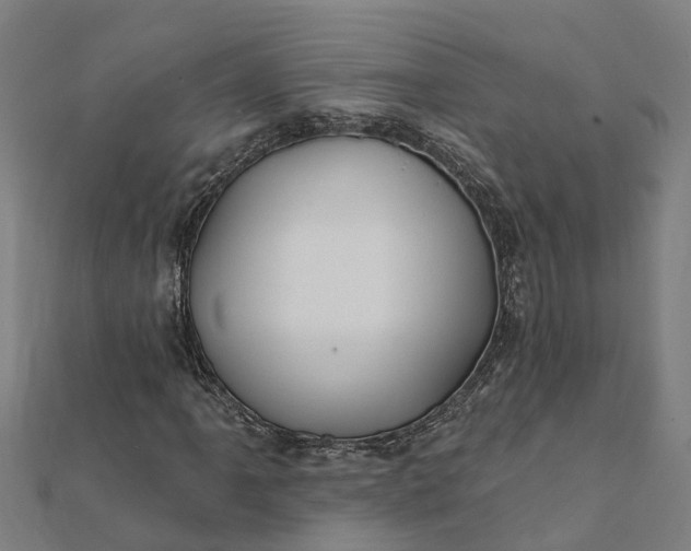 X0000112081061200908181237