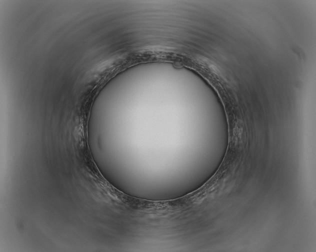 X0000112081062200908181237