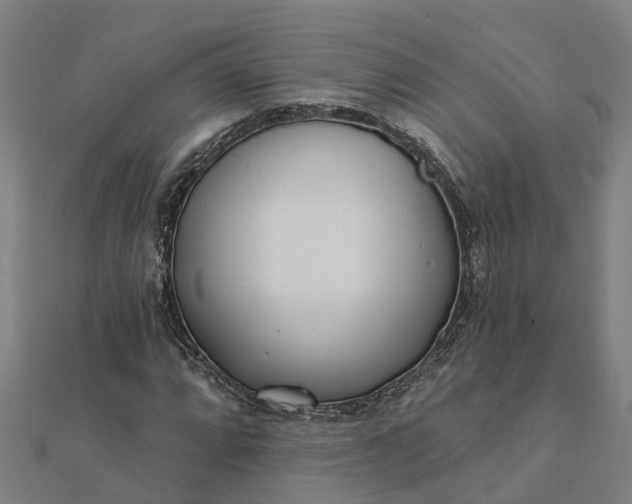 X0000112081064200908181237