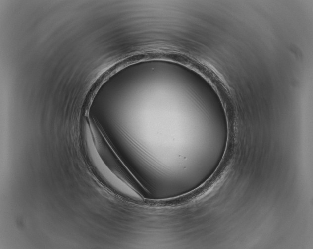 X0000112081065200908181237