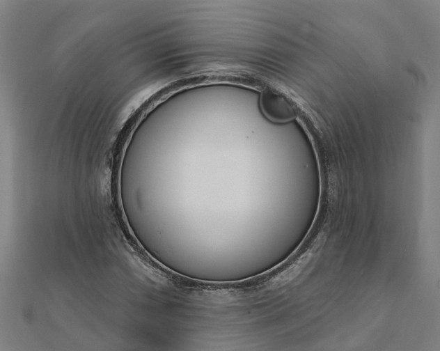 X0000112081066200908181237