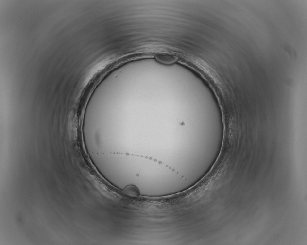 X0000112081067200908181237