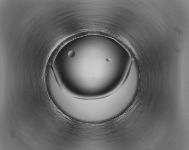 X0000112081068200908181237