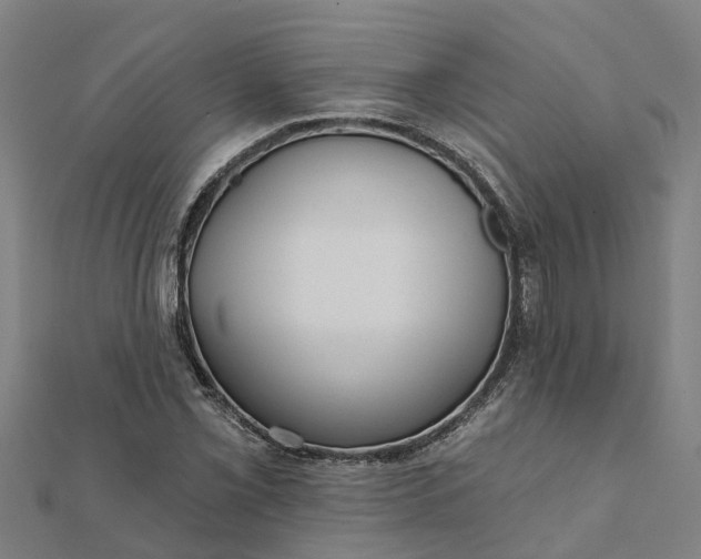 X0000112081069200908181237