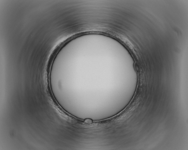 X0000112081072200908181237