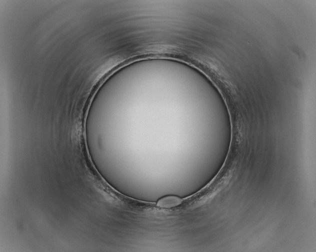 X0000112081073200908181237